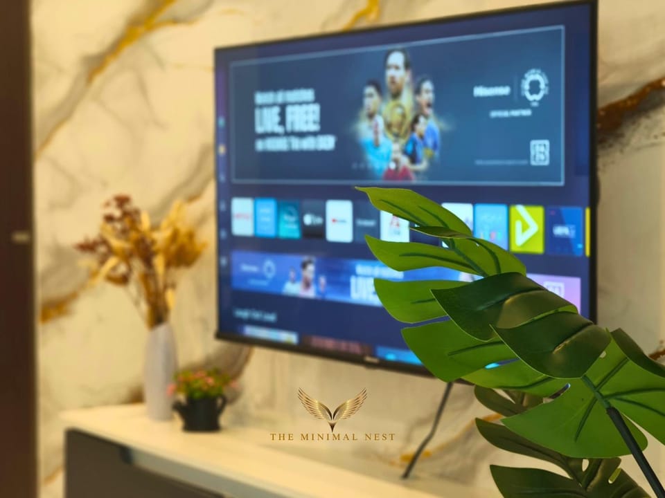 TV and multimedia