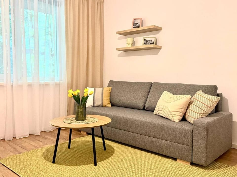 Poemi à la Cluj- Quiet, Kingsize bed, Quiet locat Apartment in Cluj-Napoca