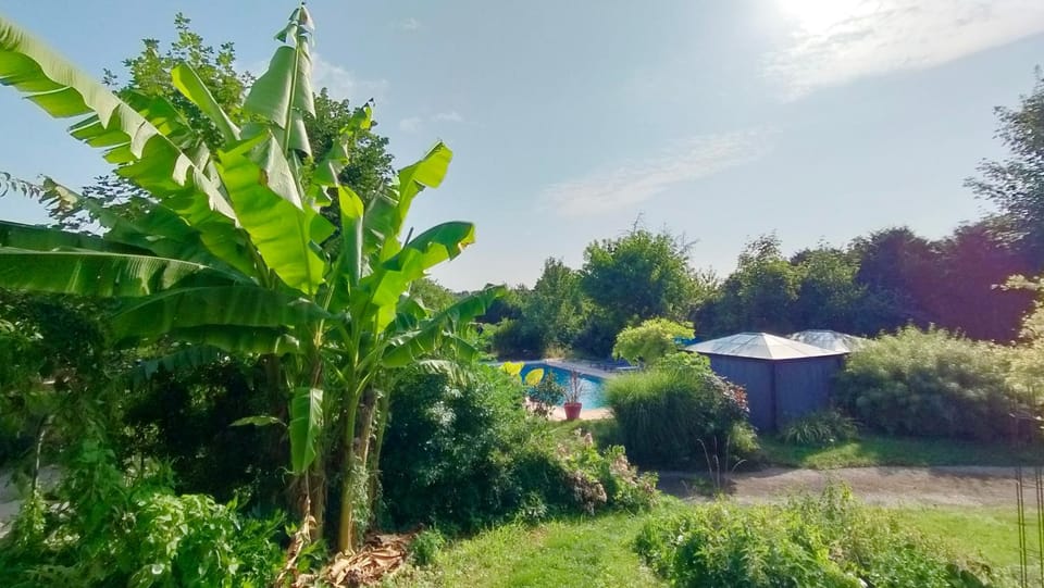 Garden view