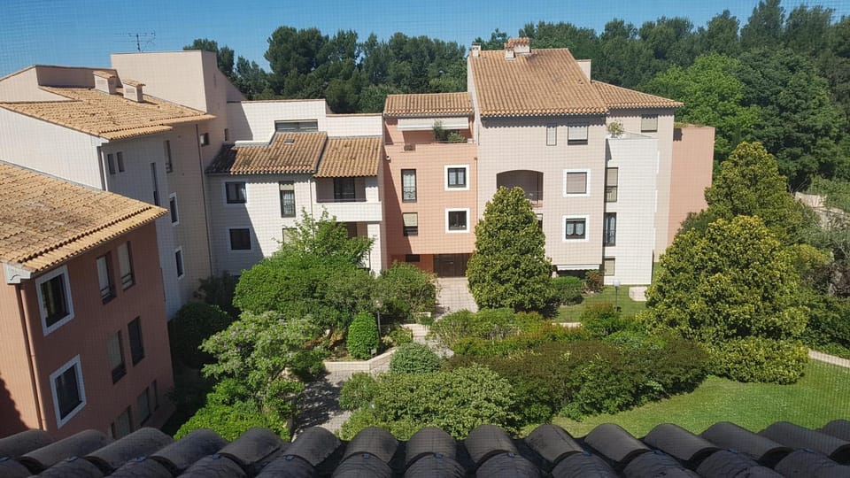 Garden view