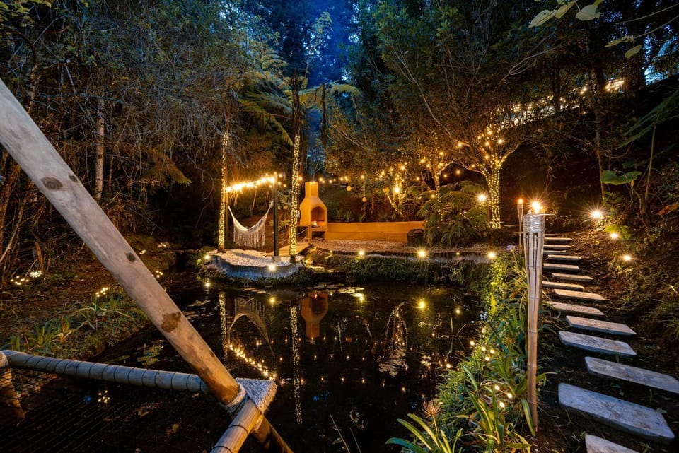 Lake view
