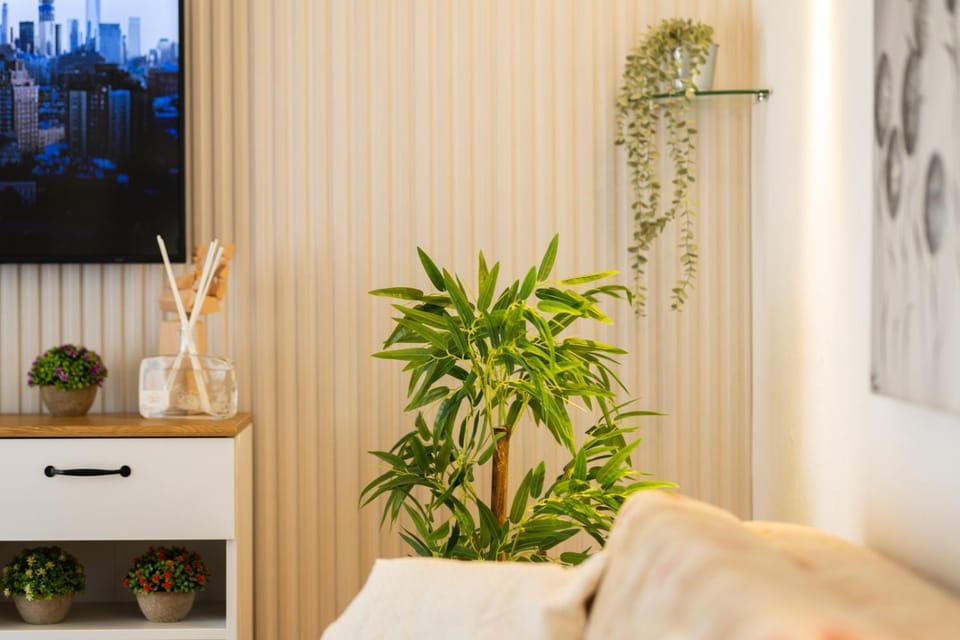 TV and multimedia, Photo of the whole room, Decorative detail