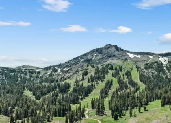 Super-Efficient Studio with Full Kitchen Balcony & Smart Sleeping Options House in Kirkwood