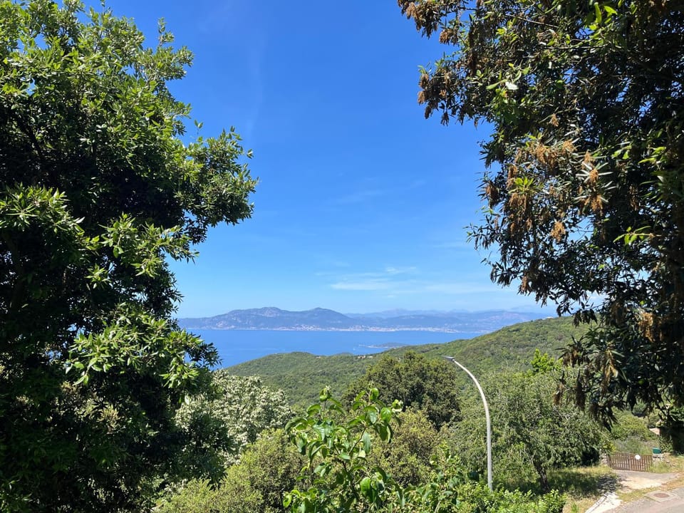 Sea view