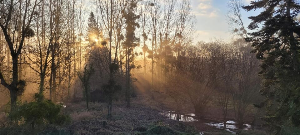 Natural landscape, Sunrise