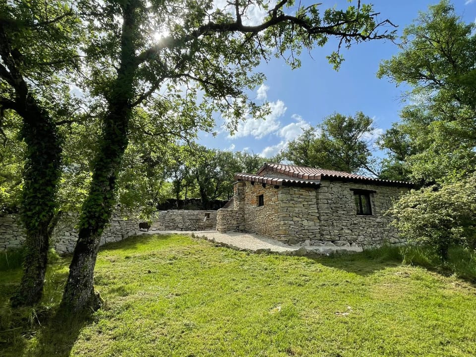 Garden, Garden view