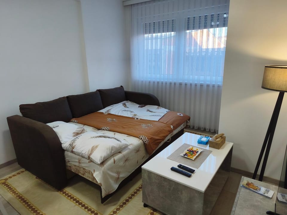 Apartman RikiKiki Apartment in Serbia