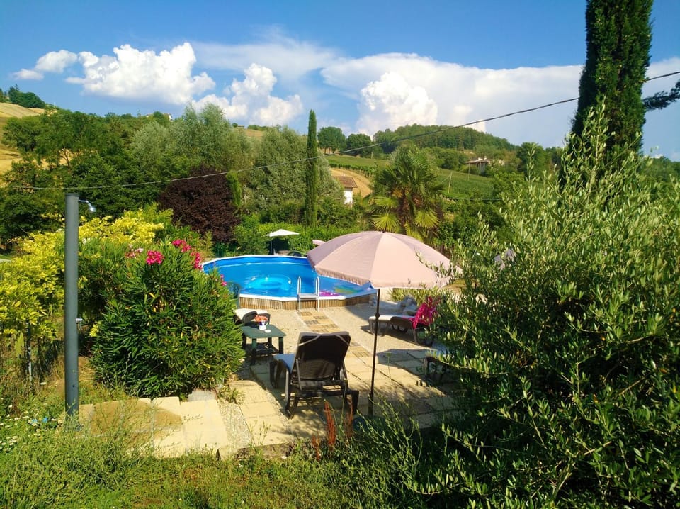 Garden, Solarium