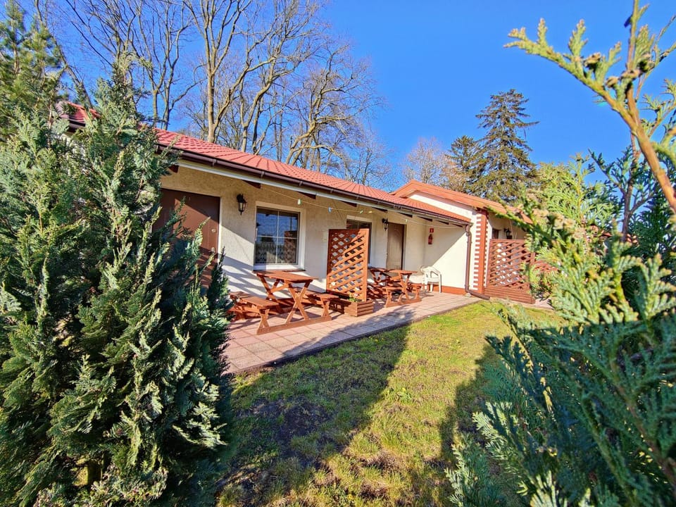 Property building, Garden view