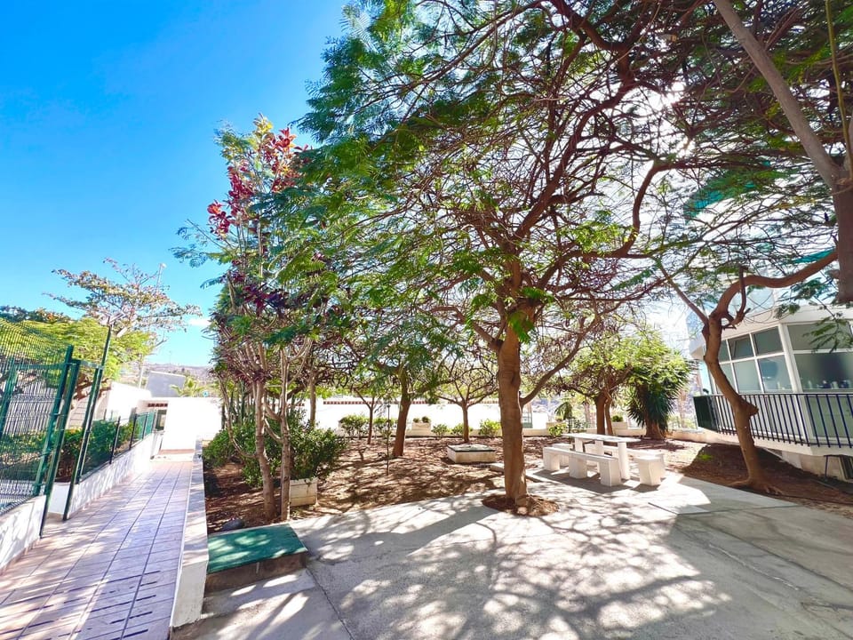 1 bedroom apart in Las Americas! Apartment in Playa de las Americas