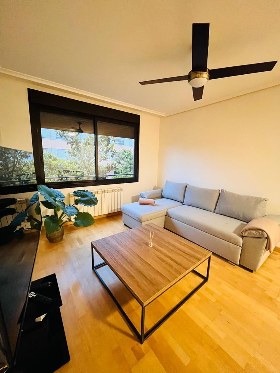Communal lounge/ TV room