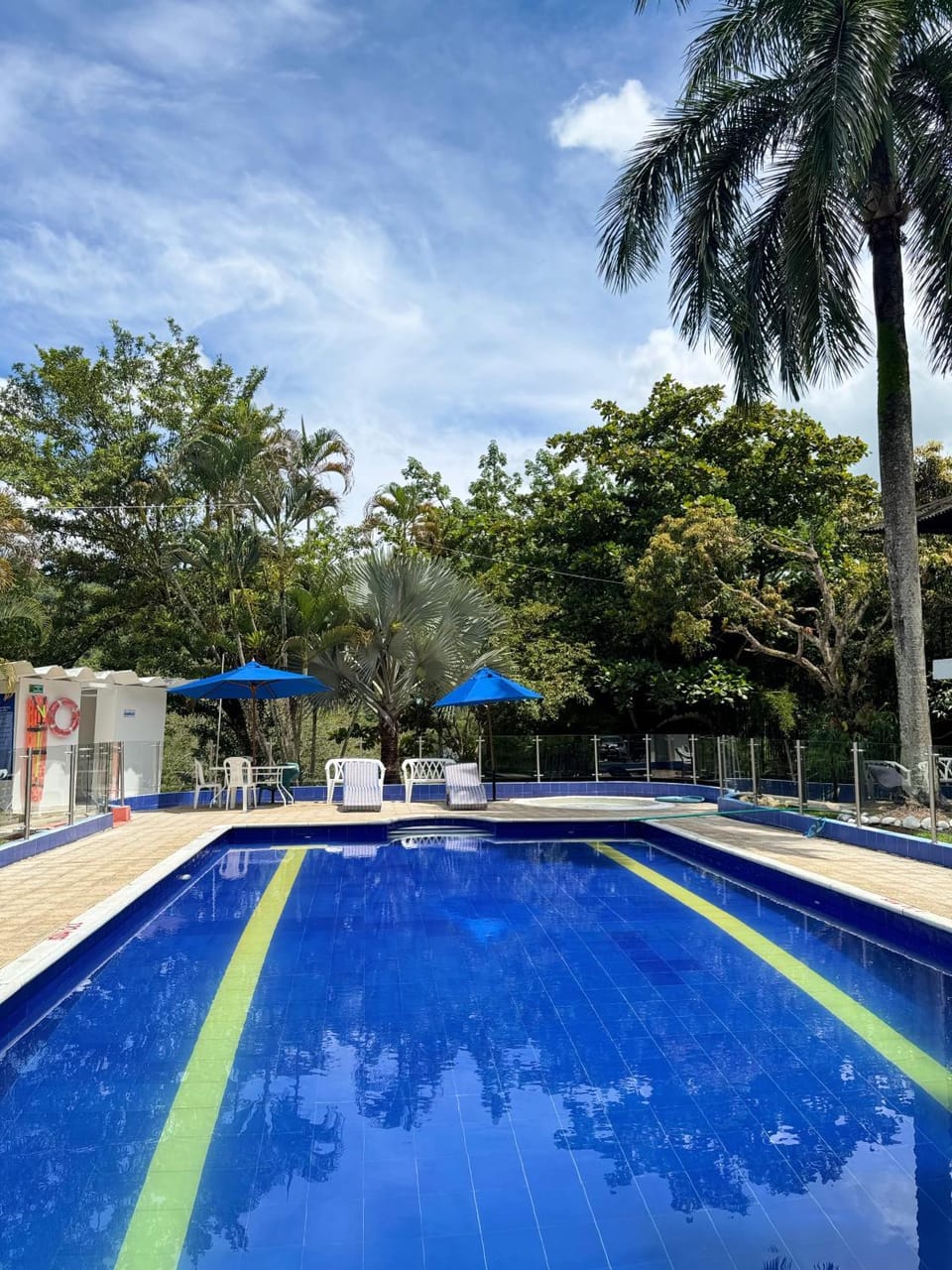 Swimming pool, sunbed
