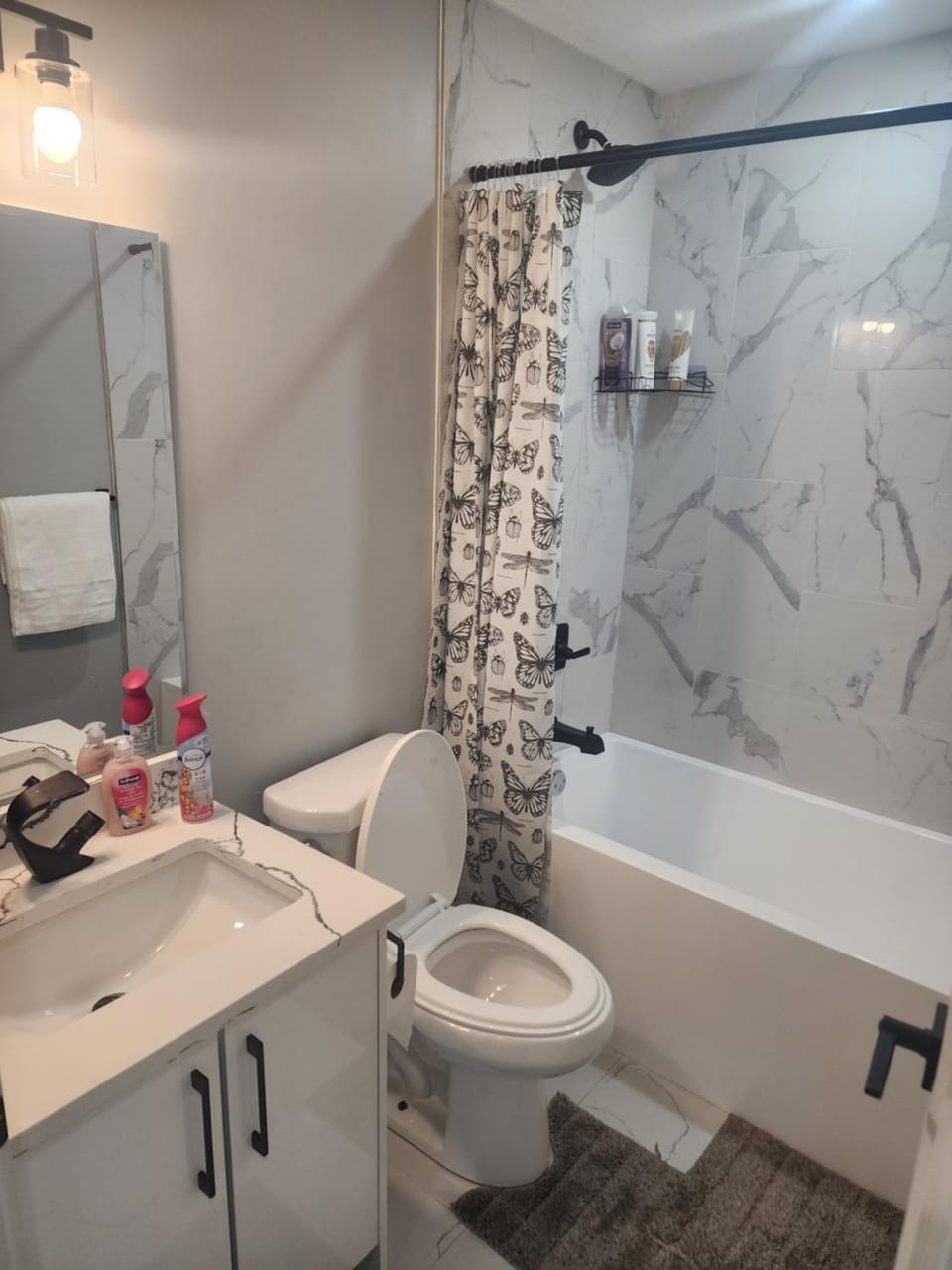 Toilet, Bathroom