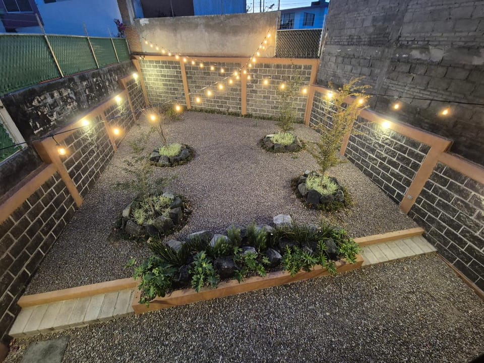 Night, Garden, Garden, Garden view