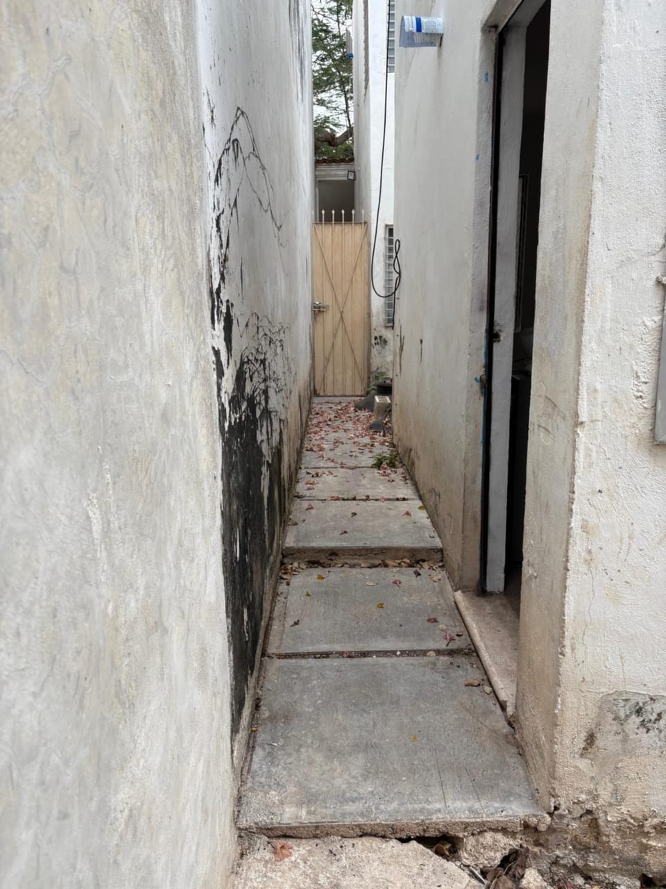 Suite 142 Apartment in Merida