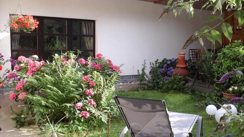 Patio, Garden