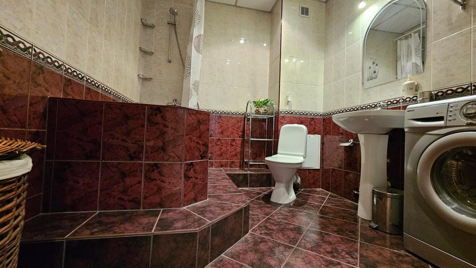 Toilet, Bathroom, washing machine