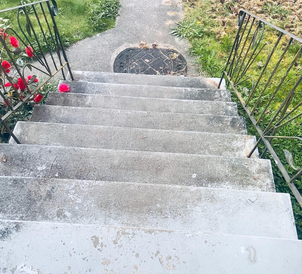 Surrey central Vacation rental in Surrey