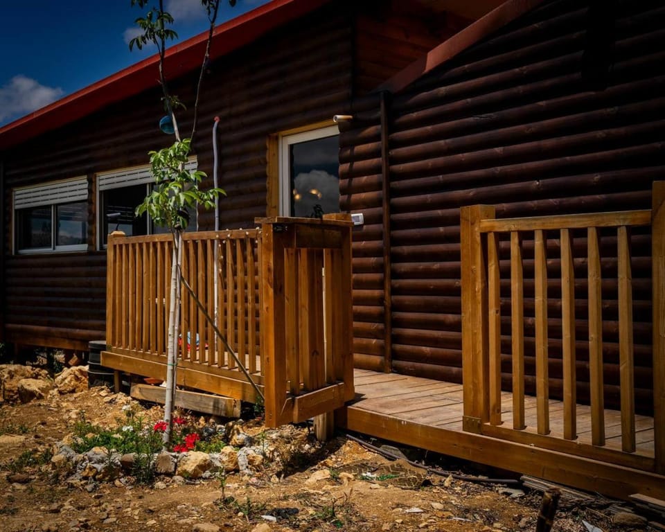 Property building, Spring, Day, Garden, Garden view
