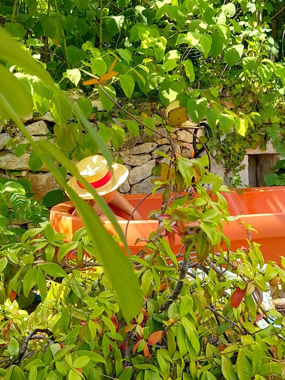 Garden, Spa and wellness centre/facilities