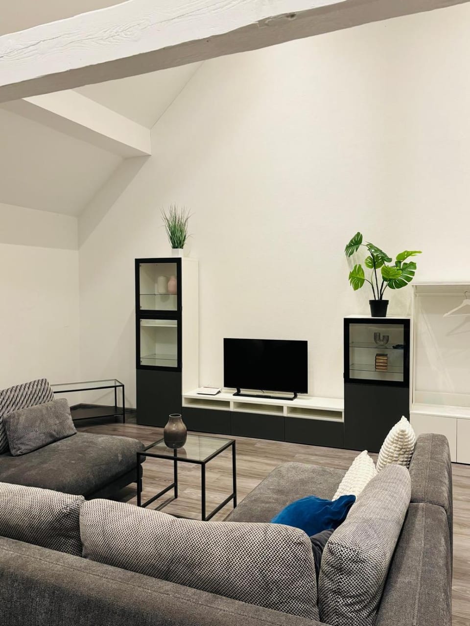 TV and multimedia, Living room