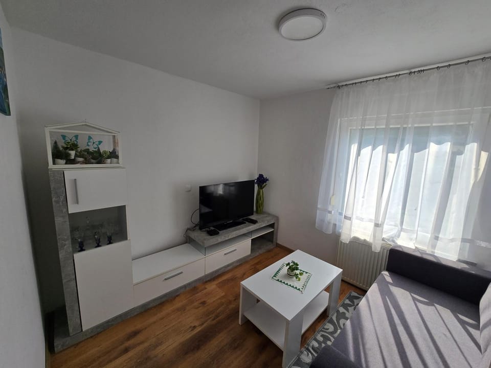 Pri tetki Apartment in Slovenia