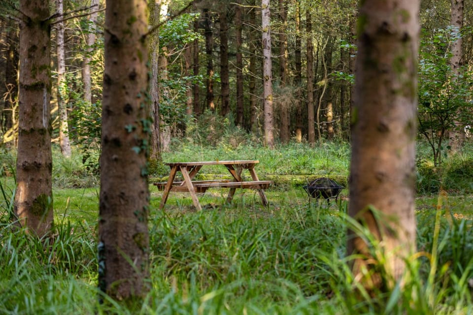 Day, Natural landscape, Summer, BBQ facilities, Garden, Other, Seating area, Evening entertainment, Guests, Garden view, Sunrise, Sunset, children, older children, Family