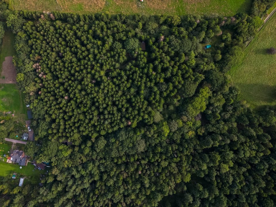 Day, Neighbourhood, Natural landscape, Bird's eye view, Summer