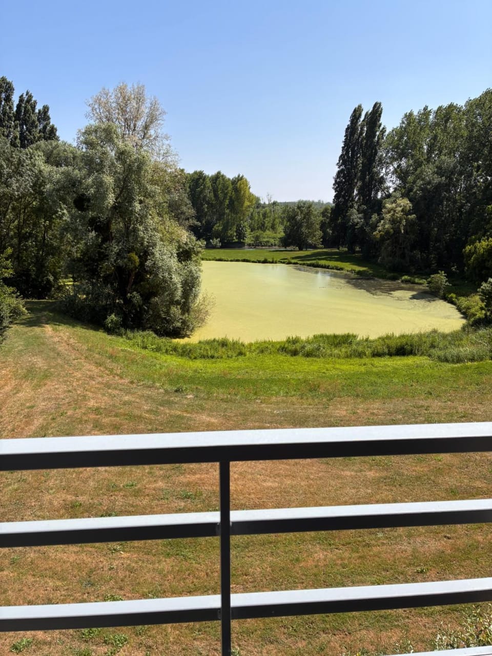 Lake view
