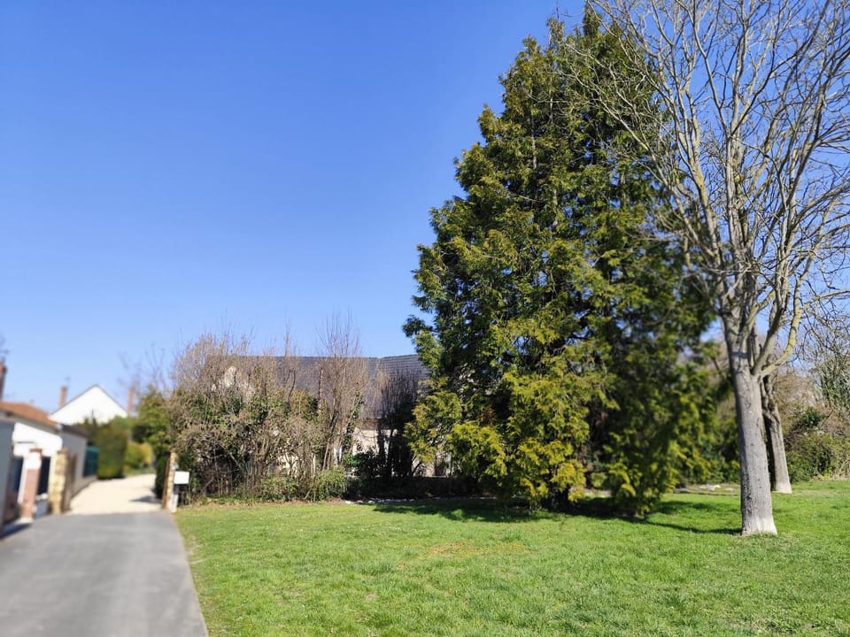 Natural landscape, Garden, Garden view