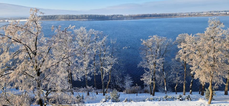 Lake view