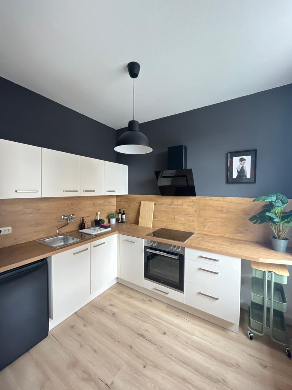 Kitchen or kitchenette, dishwasher, stove