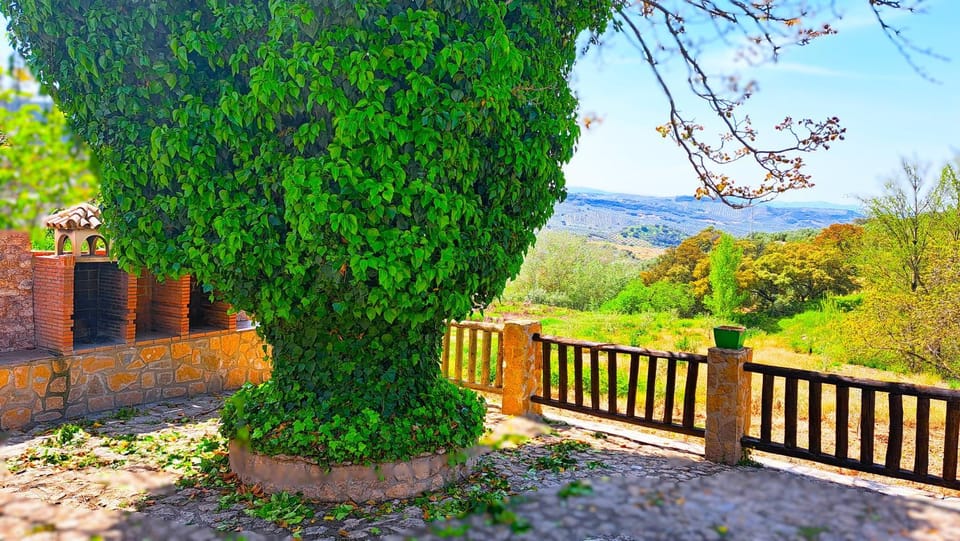 Suitur Cortijo de Don Lolo Country House in Andalusia