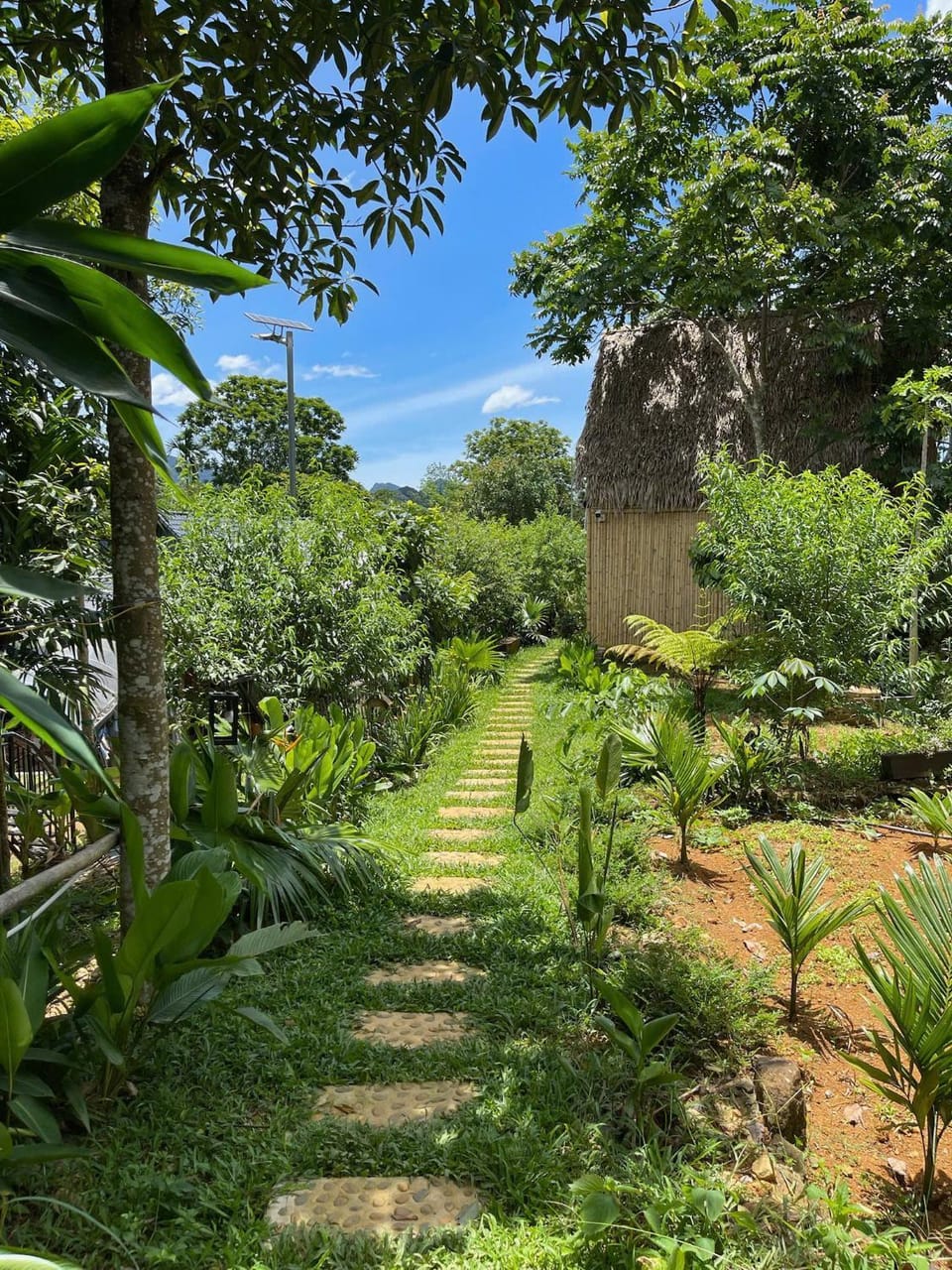 Natural landscape