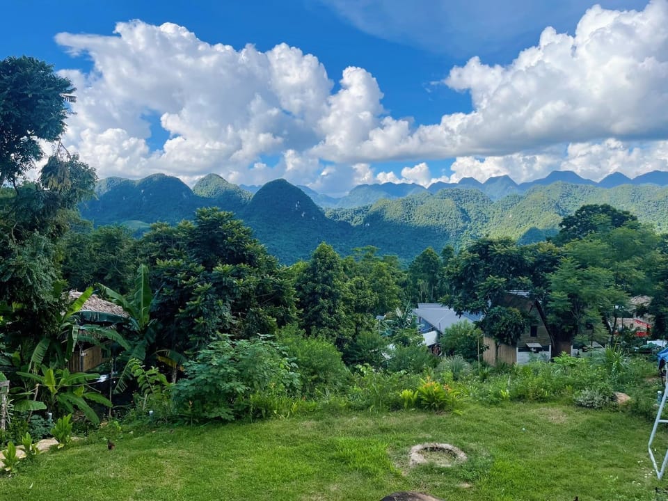 Garden, Mountain view
