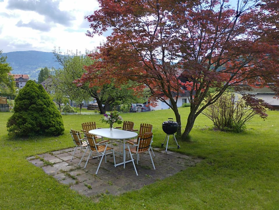 Ferienhaus Romy House in Carinthia, Austria