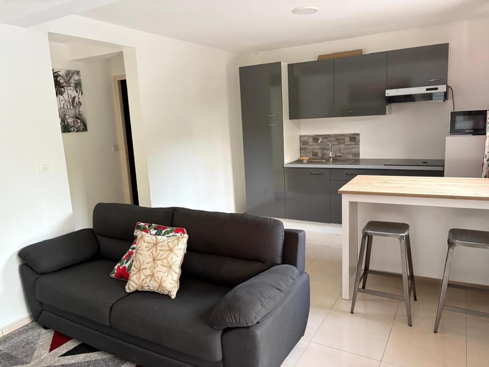 Kitchen or kitchenette, Living room