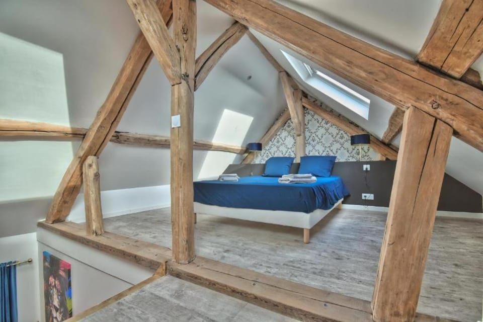 Le Duplex Apartment in Centre-Val de Loire