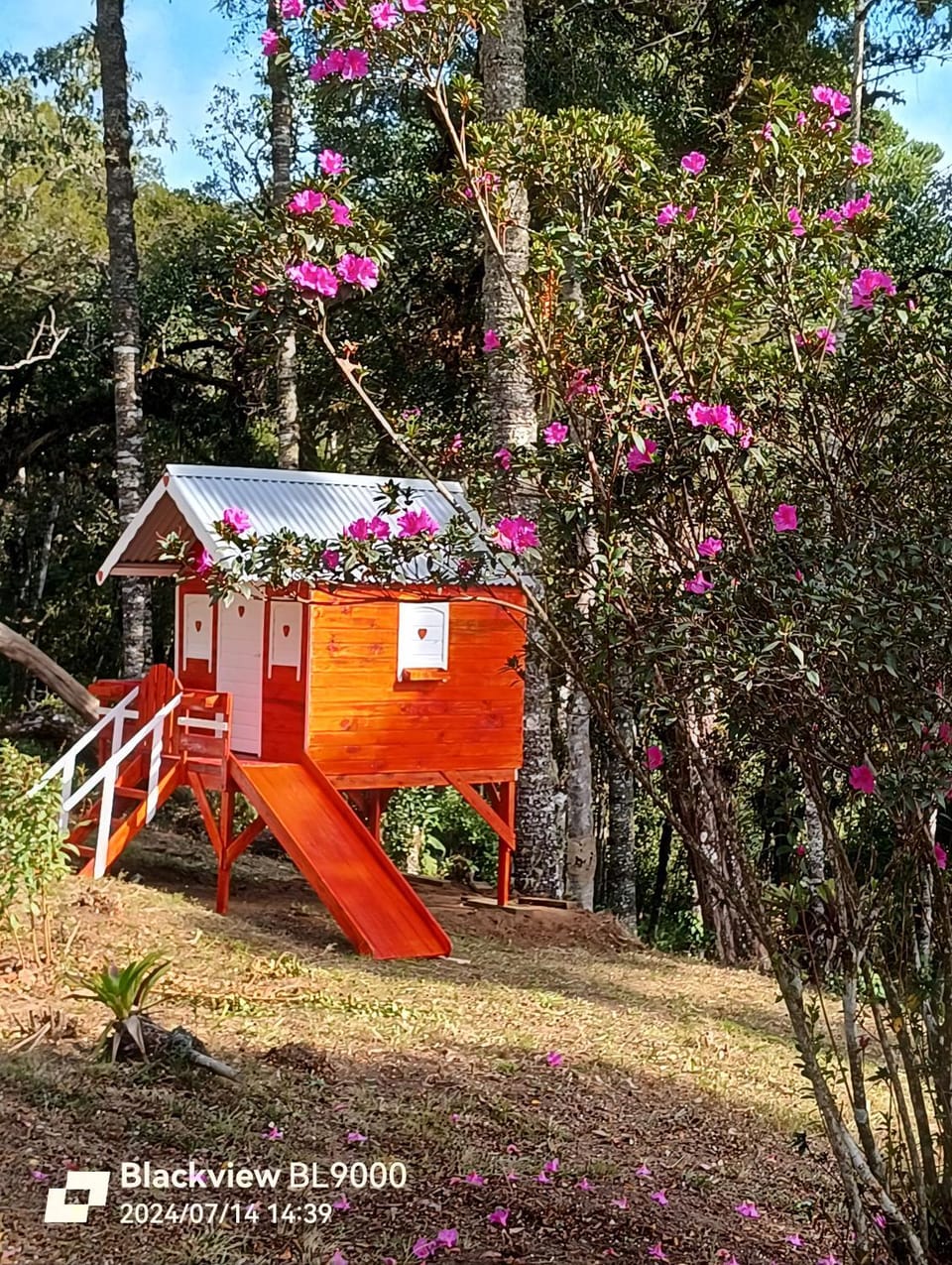 Studio Árvore da vida Chalet in State of Goiás