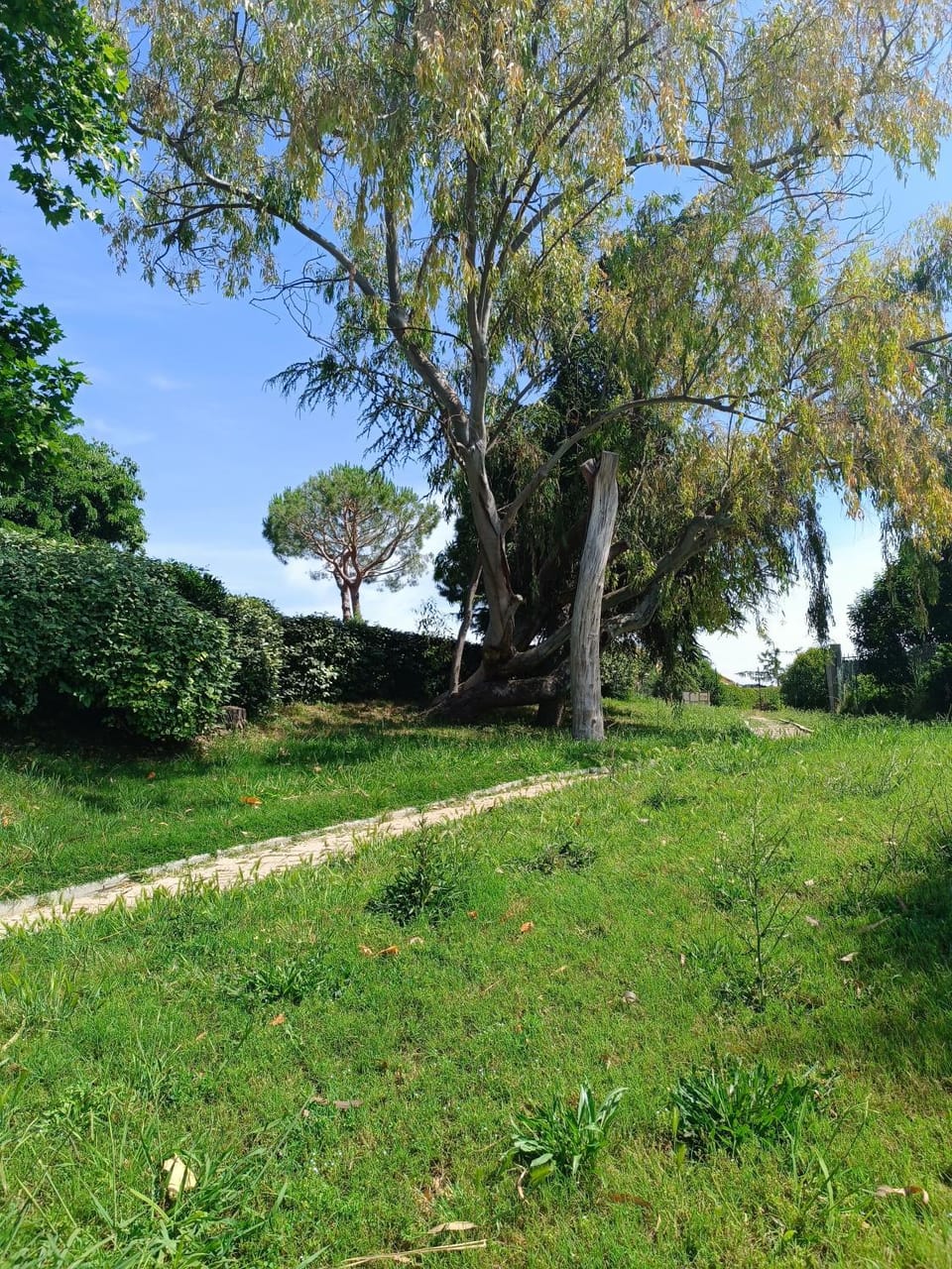 Garden, Garden view