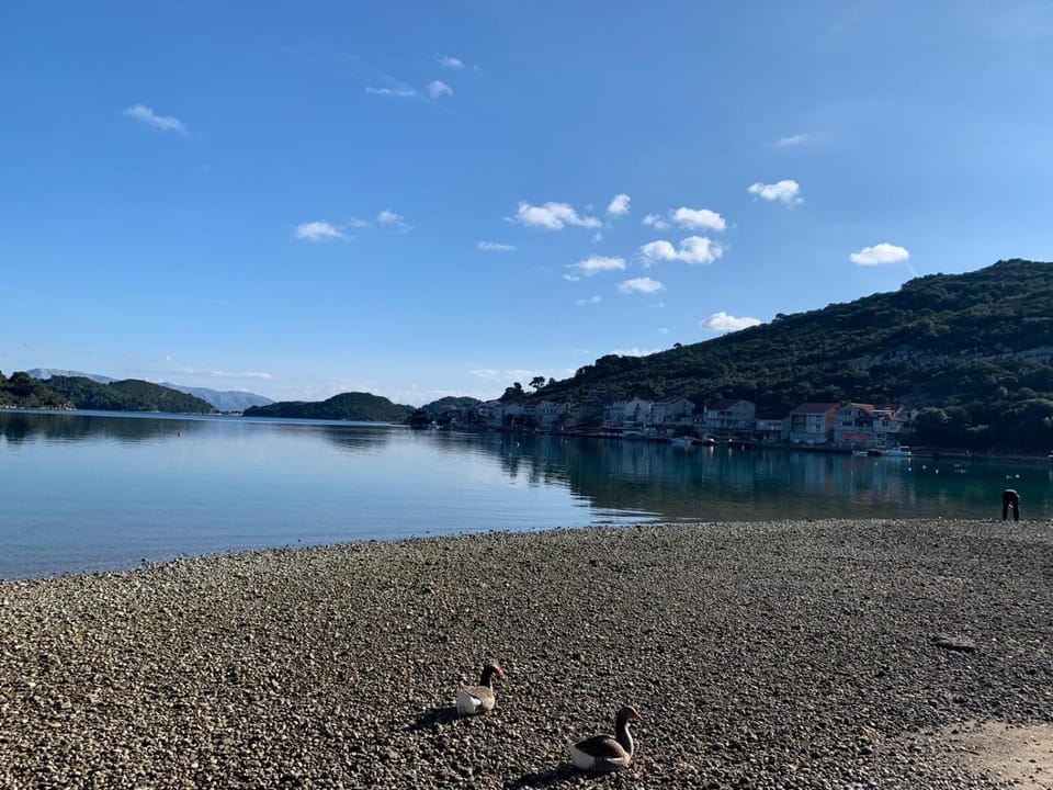 Apartments Dabelić Bed and Breakfast in Dubrovnik-Neretva County