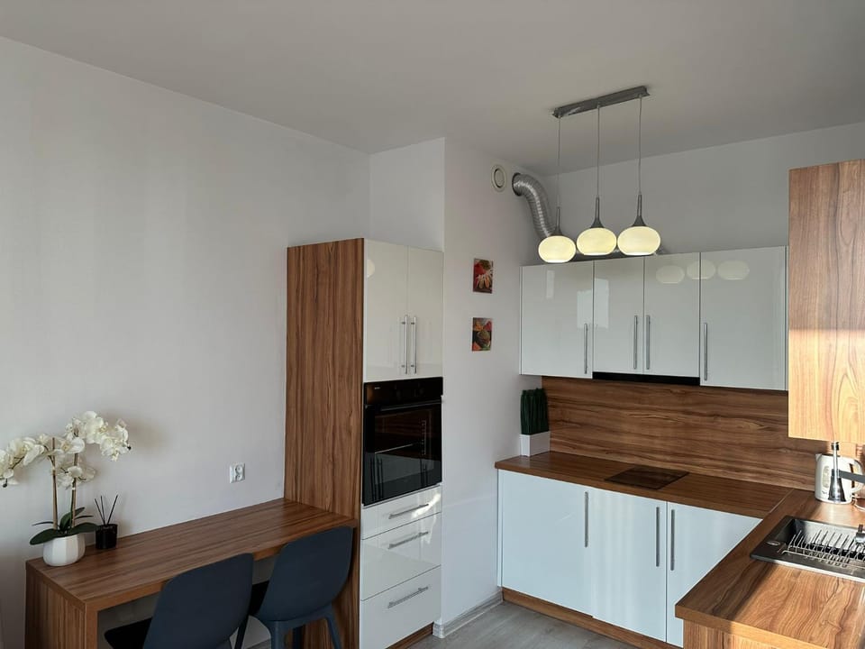 Nordic Haven View Apartment in Greater Poland Voivodeship