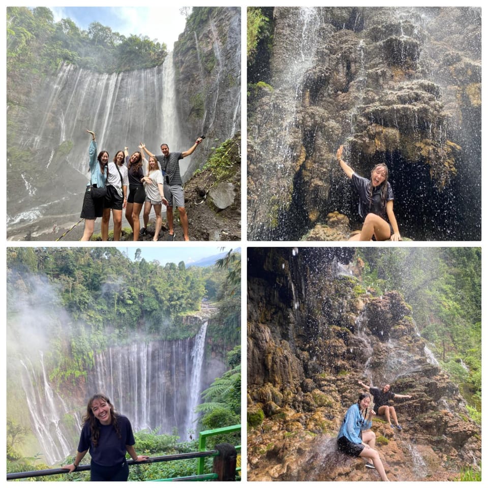Natural landscape, group of guests