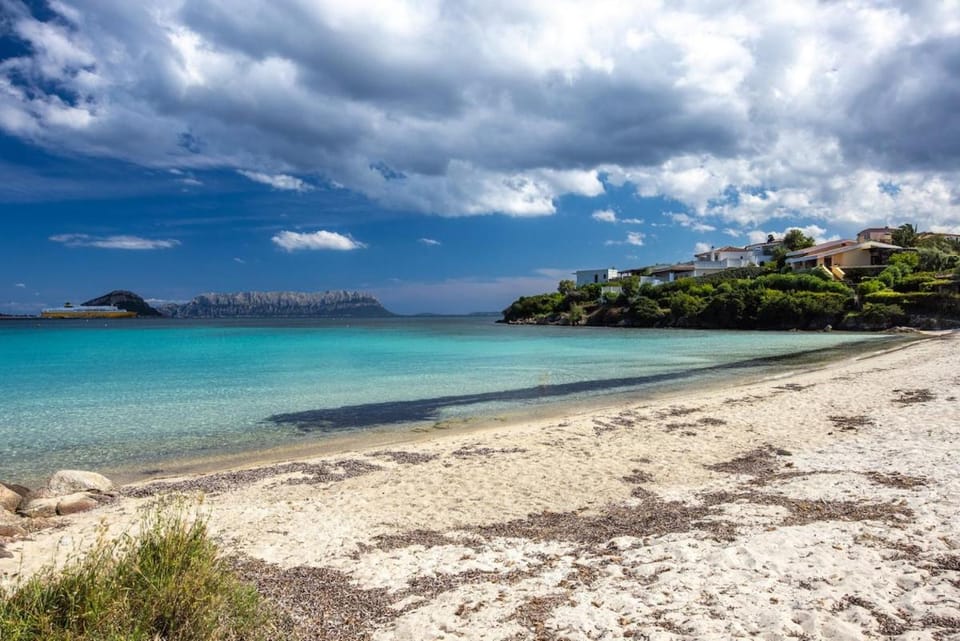 Exclusive Sea Terrace Apt Panoramic Sea View Apartment in Golfo Aranci