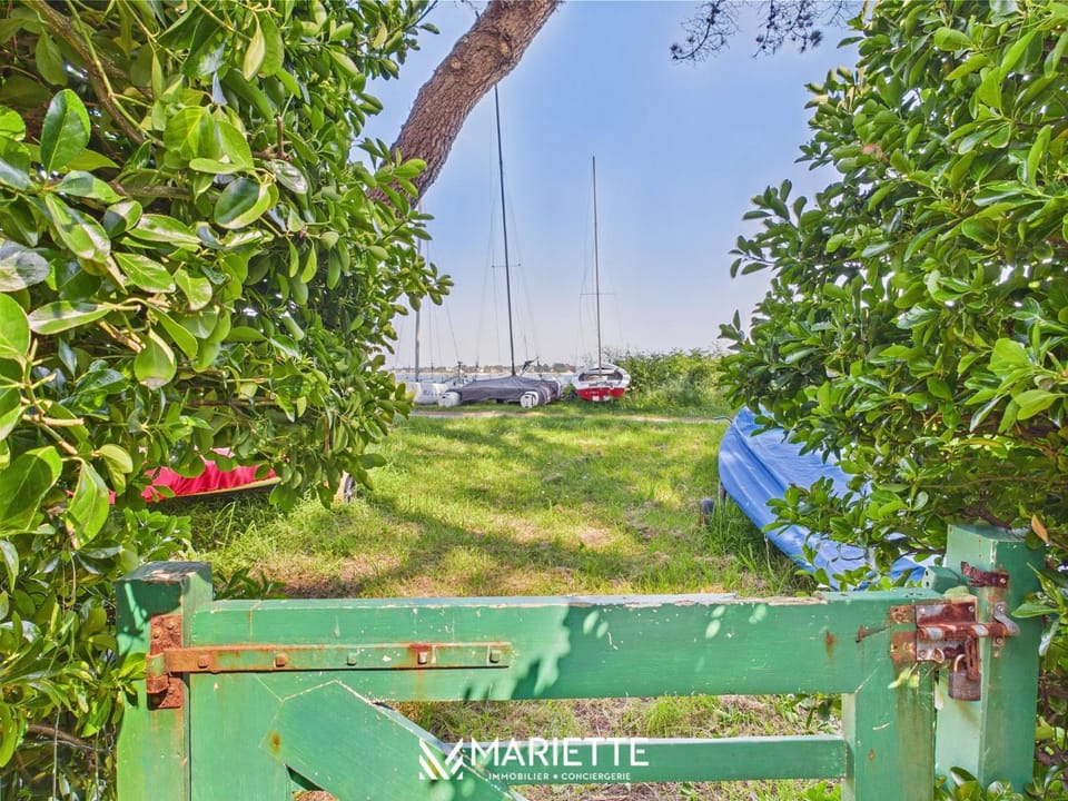 Patio, Garden, Garden view