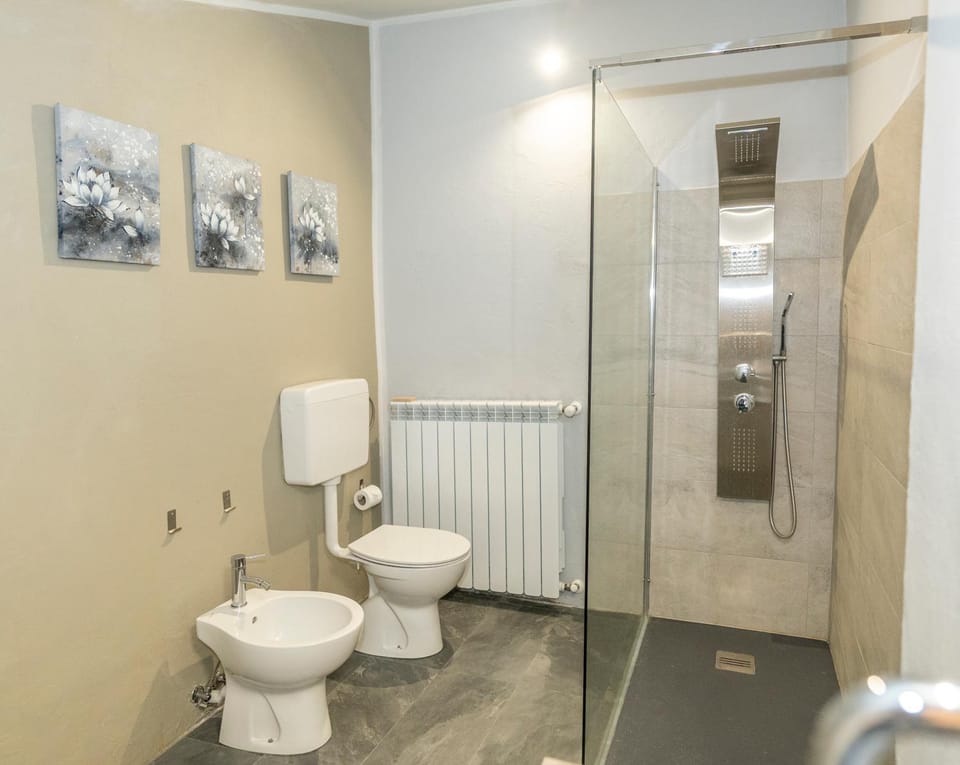 Shower, Toilet, Bathroom, bidet