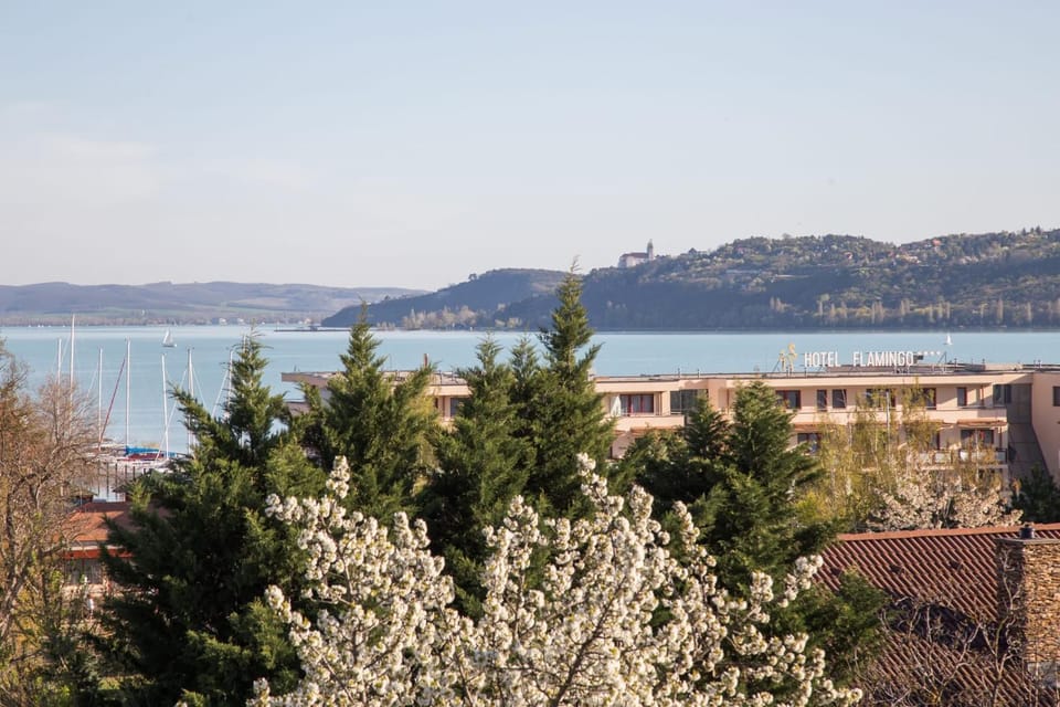 Balcony/Terrace, Lake view