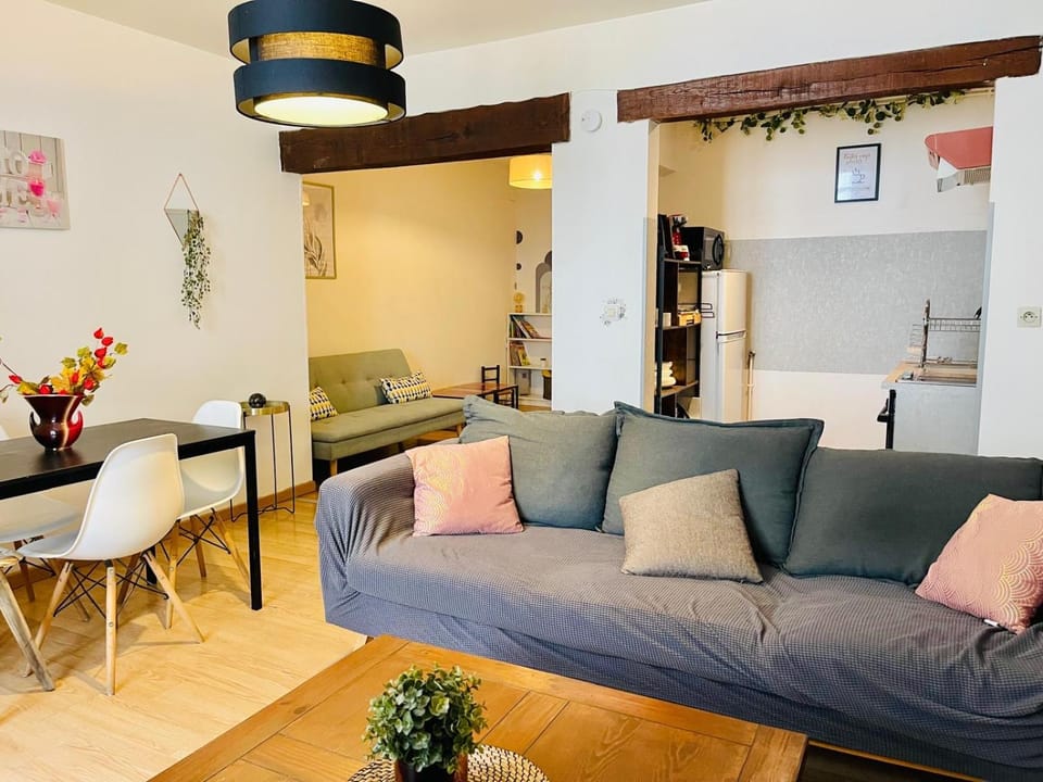 Le Noeud de Bois Apartment in Orléans