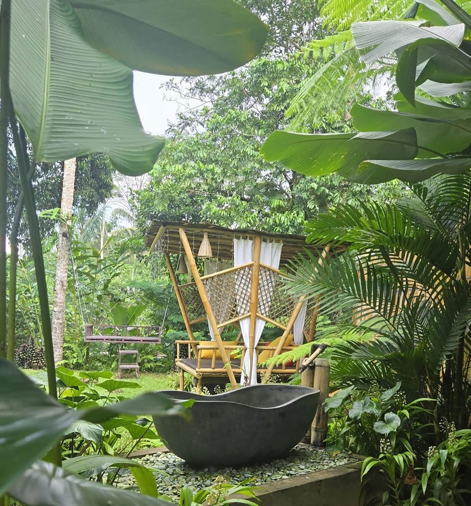 Natural landscape, Garden, Garden view, Open Air Bath, Bath