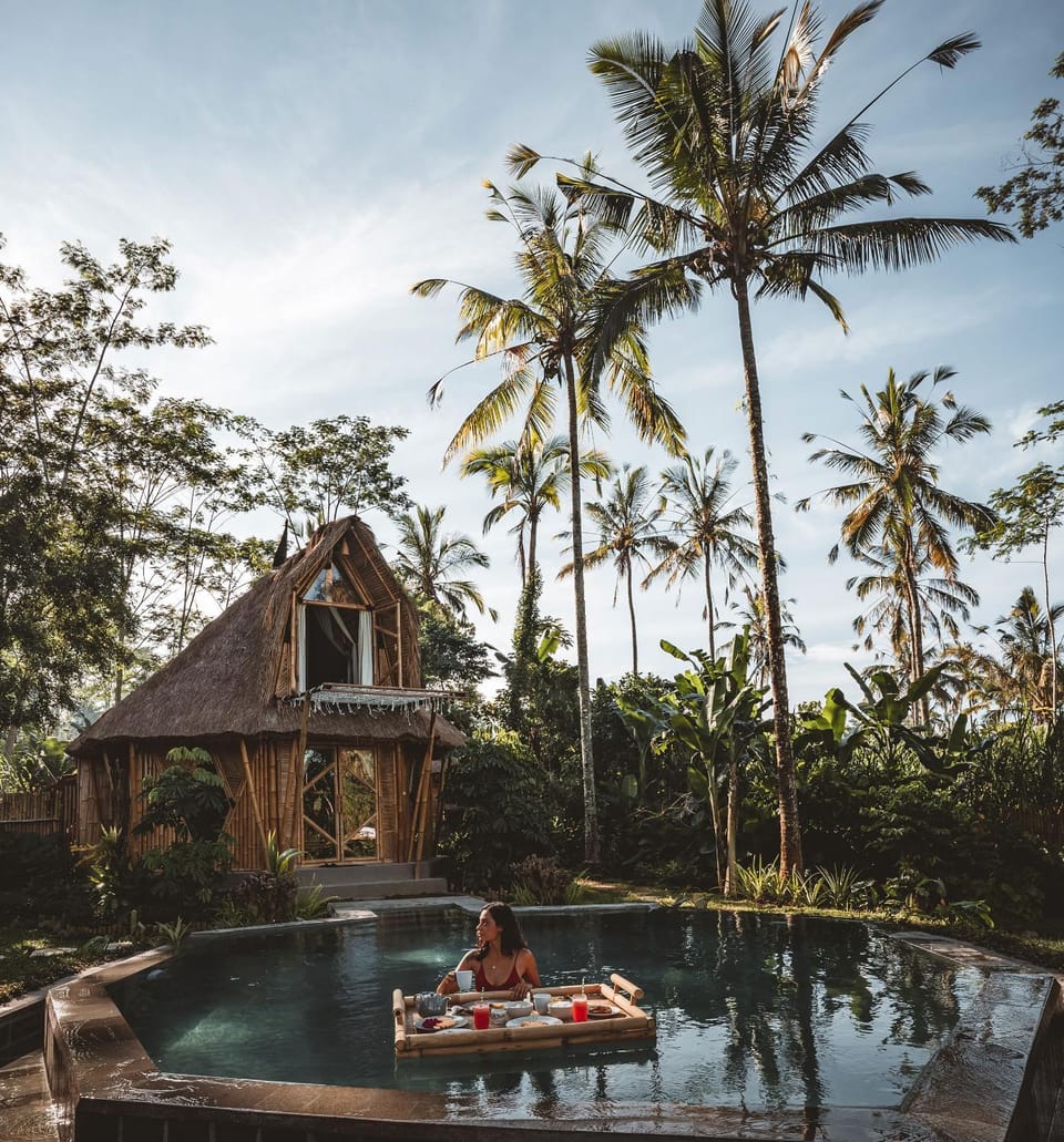 Natural landscape, Garden, Garden view, Pool view, Swimming pool, Swimming pool, group of guests, sunbed
